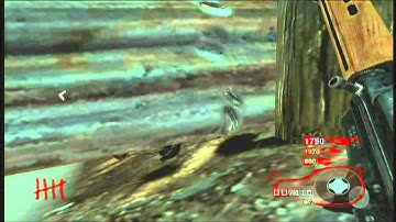 Zombies Glitches: *NEW* Shi No Numa Invincibility Glitch EASY!