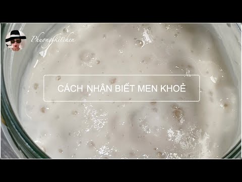 NHẬN BIẾT MEN KHOẺ SẴN SÀNG DÙNG LÀM BÁNH. CHO MEN TẬP BƠI ĐÚNG CÁCH