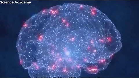 Quantum Entanglement and Consciousness: The Mysterious Connection Between Neurons.