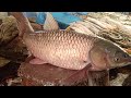 Amazing Technique Fish Cutting Skills Live Big Grass Carp Fish Cutting By Professional Fish Cutter