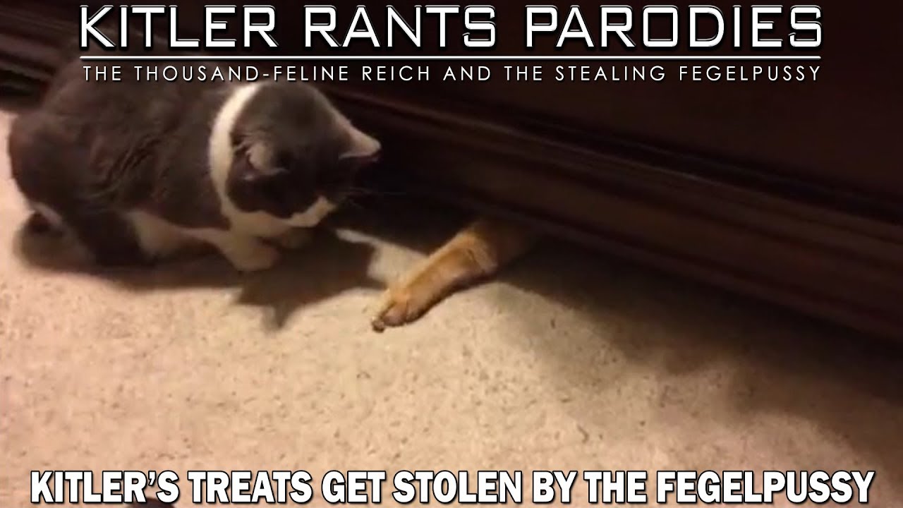 Kitler’s treats get stolen by the Fegelpussy