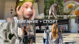 VLOG : утро в лесу, уход за собой💕 *aesthetic* // правильное питание, спорт ⚽️