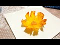 How to make Dried Pineapple Flowers - Fiore di ananas Cách làm hoa dứa khô by LYCIA KITCHEN