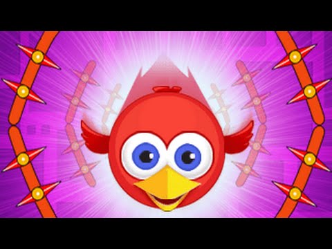 Parrot Games: Bird Games Free