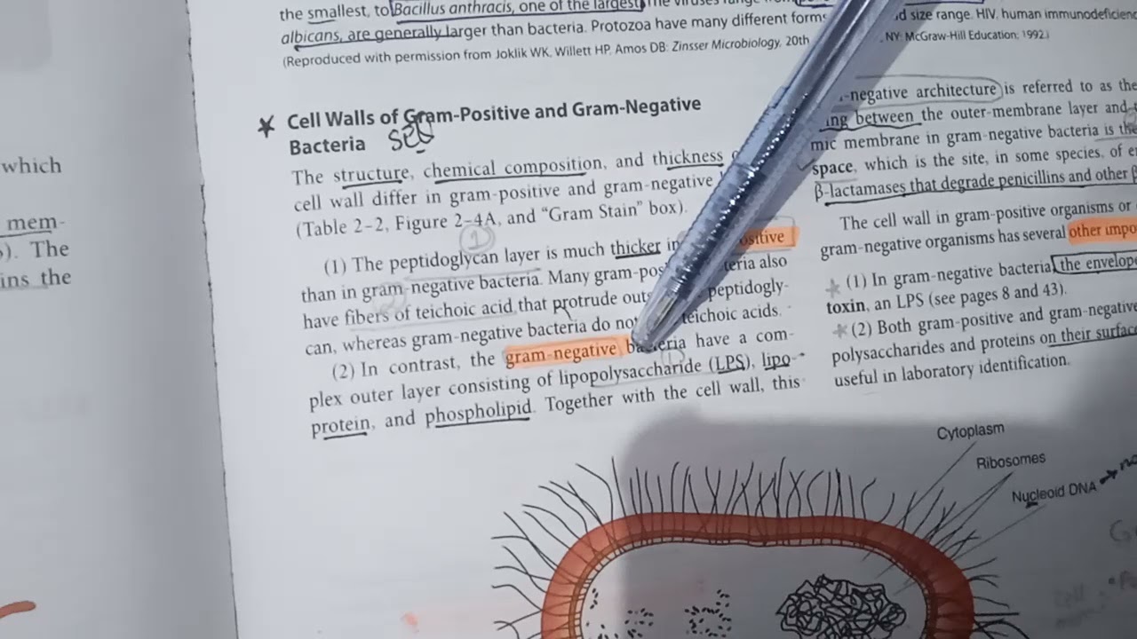STRUCTURE OF BACTERIAL CELLS /Chpter2 Levinson Microbiology /Guidlines