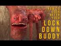 The Lock Down Buddy 2: How to look after your buddy