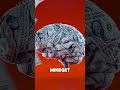 The Psychology of Money Most People Get Wrong #mindset #wealth #moneymanagement
