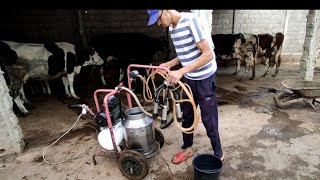 طريقة حلب الأبقار بالحلابة الميكانيكية مع الشرح بالتفصيل 😍😍