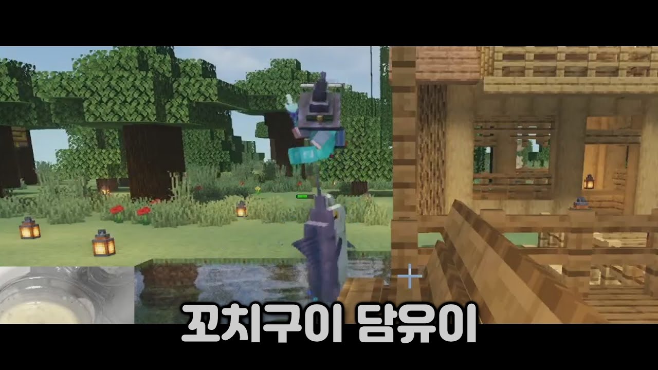 오화요의 밥 반찬