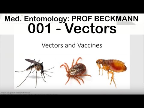 Medical Entomology 001: Vectors