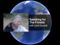 Speaking for the Forests with Dr. Jane Goodall
