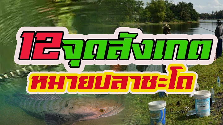 12จุดสังเกต | หมายปลาชะโด