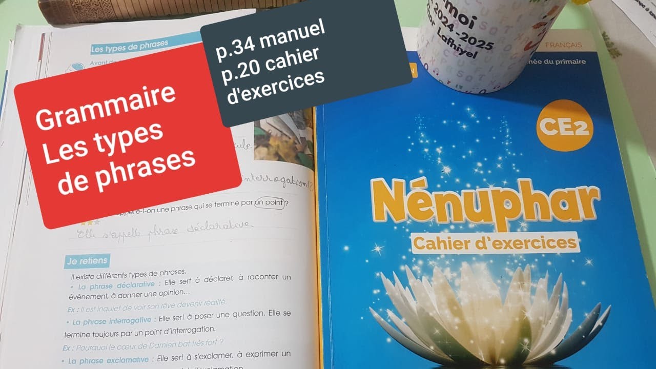 Nénuphar CE2 page 34 manuel et page 20 cahier d'exercices Grammaire Les types de phrases 