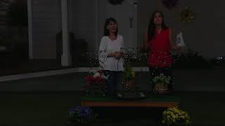 Decorative Solar Plant Stand on QVC