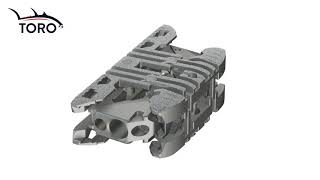 Toro-L Interbody Fusion System