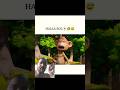 dalhi safari 😍 #funny😂 #comedy #memes #hindi #fun #sonurajbhar