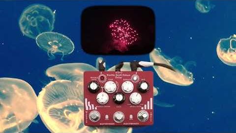 Mattoverse Electronics Warble Swell Deluxe Delay - Red Texture - Demo 1