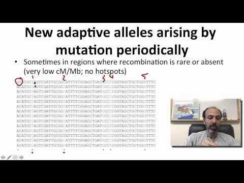8 - 3 - Week 8 - 3 (S) Signatures of Natural Selection (0916)