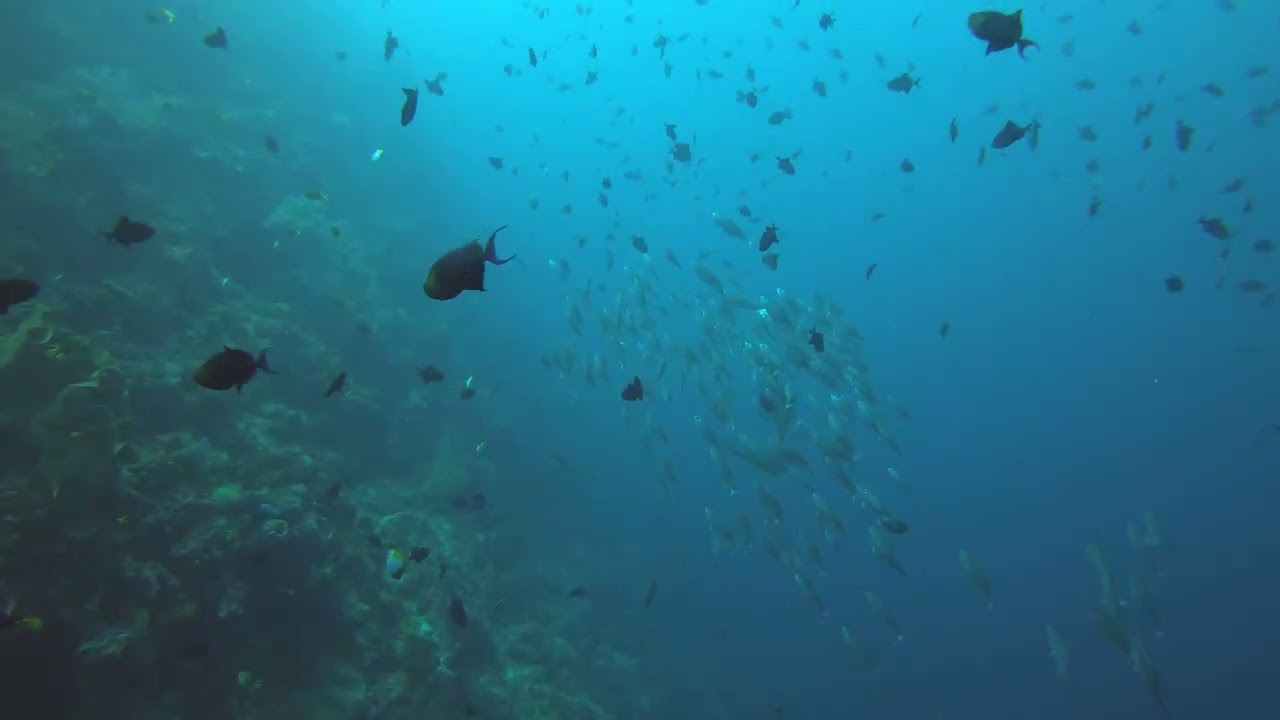 Manado, Indonesia - safety stop heaven