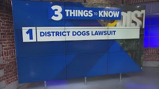 District Dogs' victims sue company for lost pets