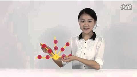 Thinkertoy DIY building blocks - How to Build a Peacock