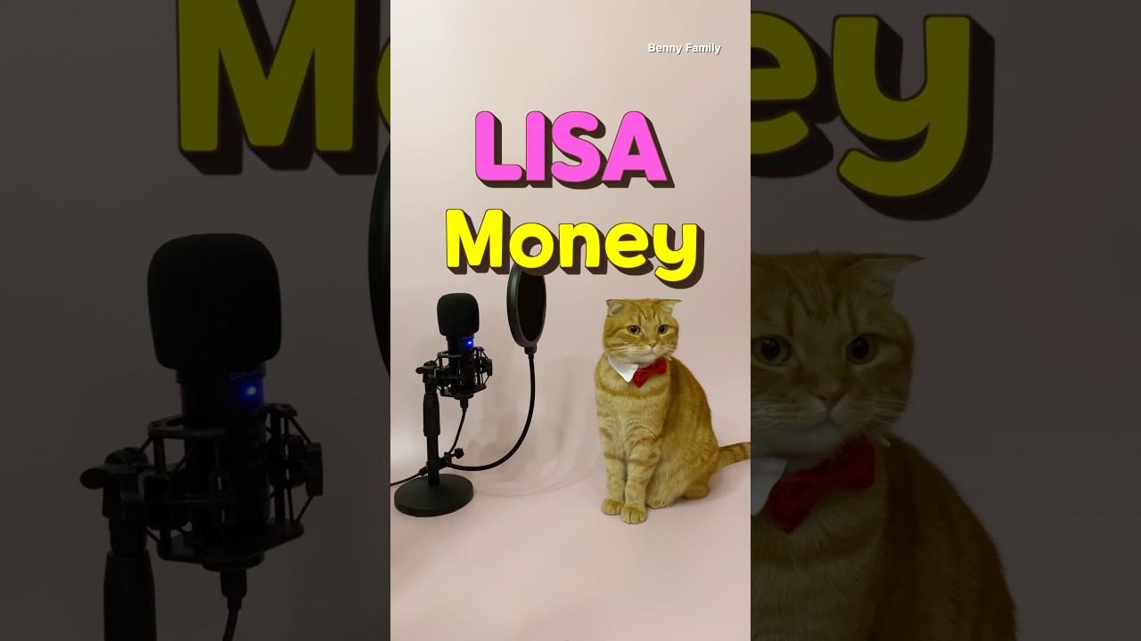 베니의 LISA(리사) - Money(머니) cover by Benny the Cat #shorts