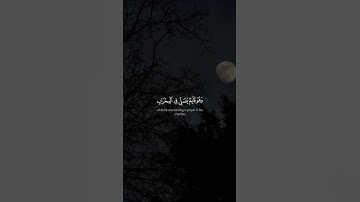 سورة آل عمران - الآيات 38-39 - تلاوة ماهر المعيقلي