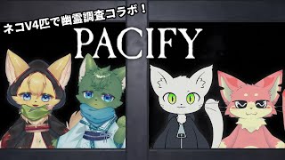 【PACIFY】ネコV4匹で幽霊調査コラボ👻【コラボ】