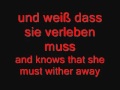 Rammstein - Nebel lyrics and english translation