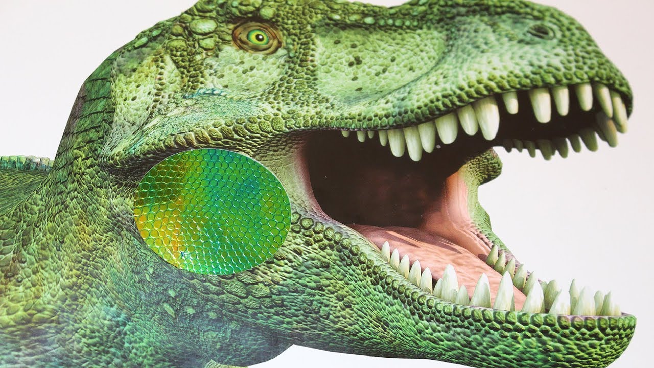 Noisy Dinosaurs Sound Book! - YouTube