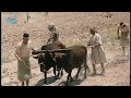 مشهد نزول الأمطار وفرحة حاكم مصر ببداية سنين الخير وتحقيق رؤية النبي يوسف عليه السلام