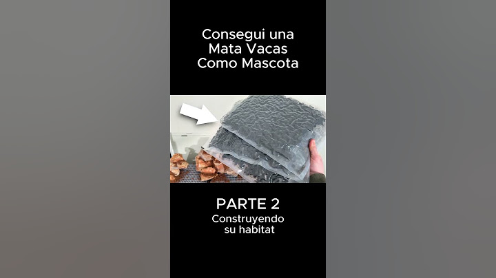 Consegui un MATA VACAS como mascota Parte 2