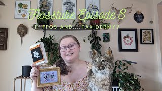 Flosstube Episode 8  11 FFOs and ... Taxidermy?