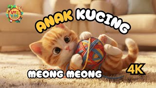 Lagu "ANAK KUCING MEONG MEONG" | Lagu Anak PAUD - TK  | Lagu Anak Populer | Lagu Anak Indonesia screenshot 5