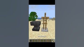 Minecraft Java vs Bedrock #minecraft #shorts