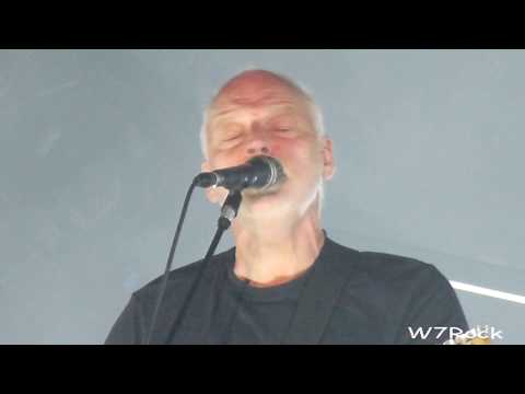 David Gilmour 5