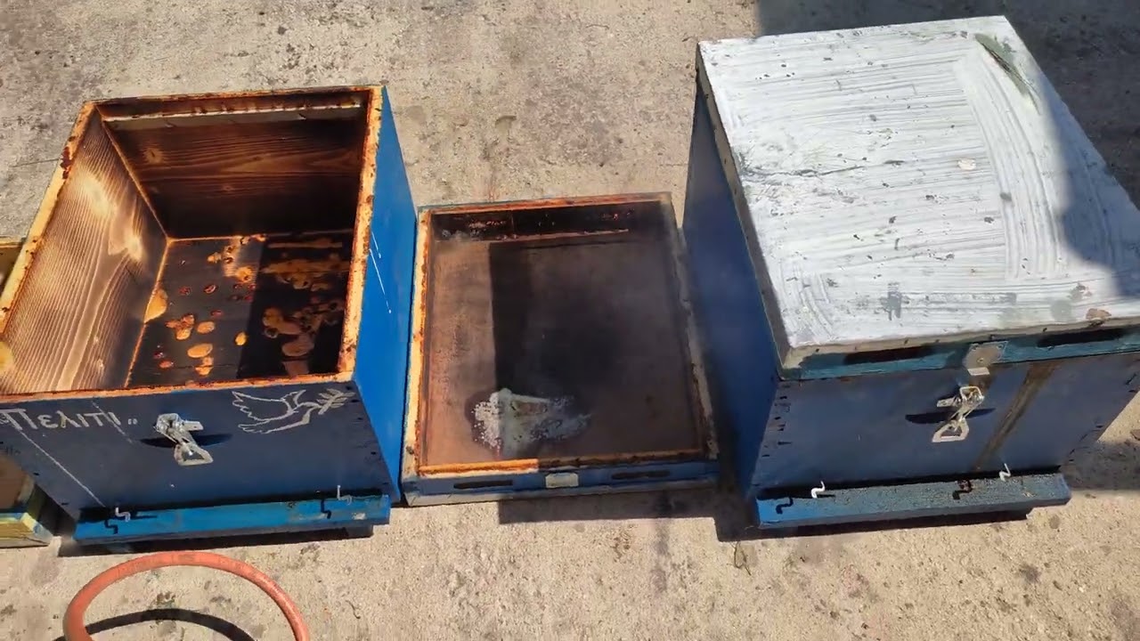 Απολύμανση κυψέλης με φωτιά