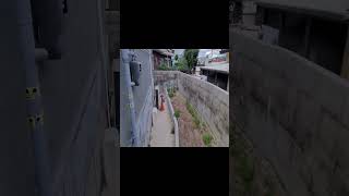 [최부자의 전국 임장기][발품] 경상남도 양산시 물금읍 범어리 상가건물 #shorts