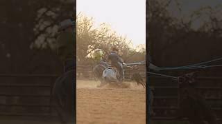 Pride And Joyy Kilo Earner Of Over 183,000.