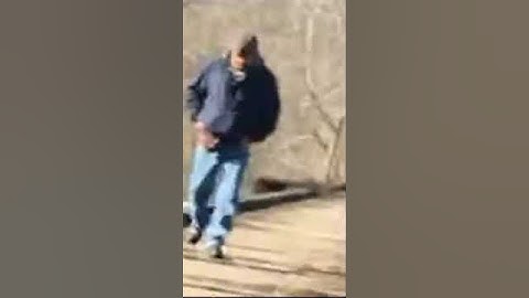 The Delphi Bridge Guy