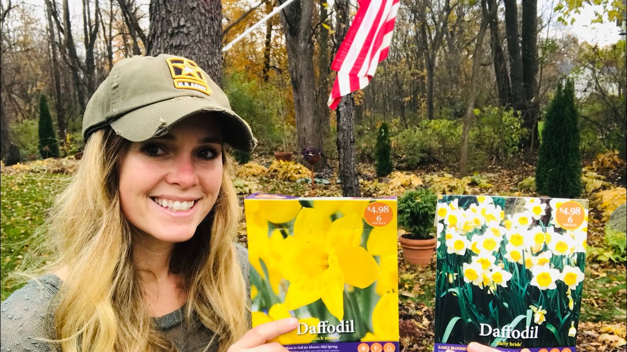 Planting daffodil bulbs! YouTube