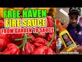 From Garden to Sauce: The Journey of Free Haven Fire Sauce