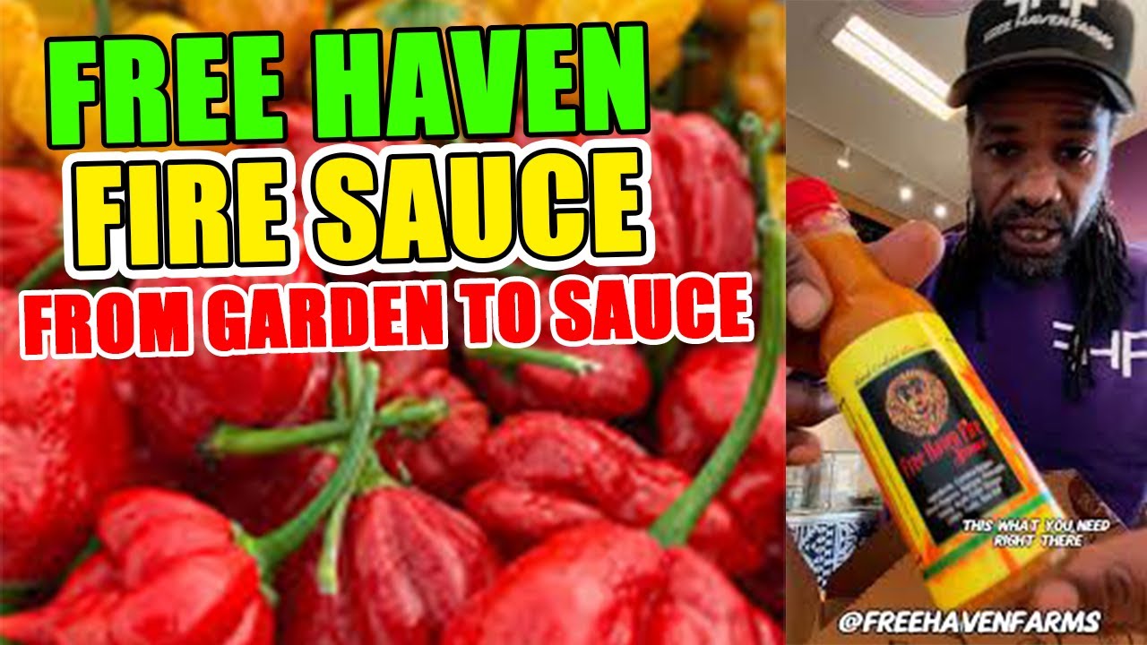 From Garden to Sauce: The Journey of Free Haven Fire Sauce