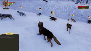 The Largest Fight Of All (WolfQuest Multiplayer With @RoryRiver )
