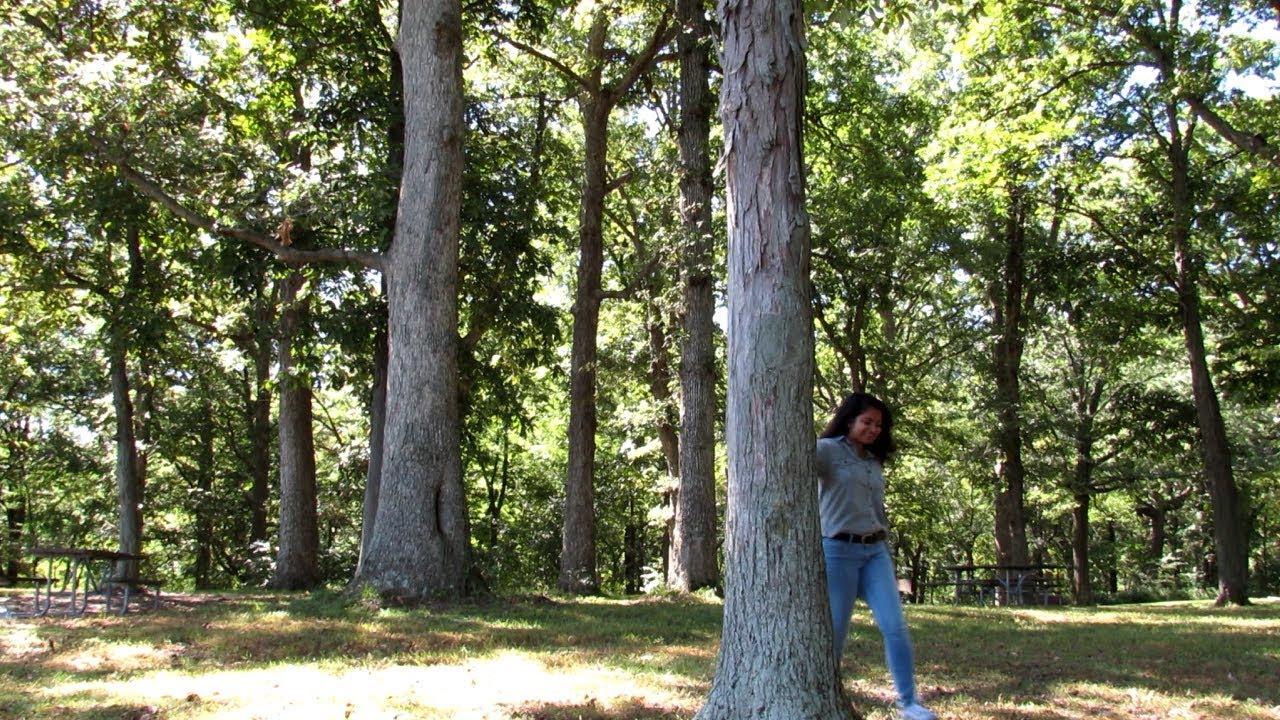 HAZLET STATE PARK TRAILER YouTube