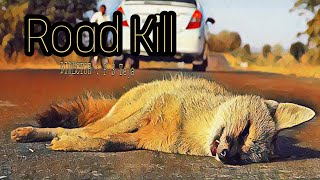 ROAD KILL NEW TELUGU SHORT FILM 2020