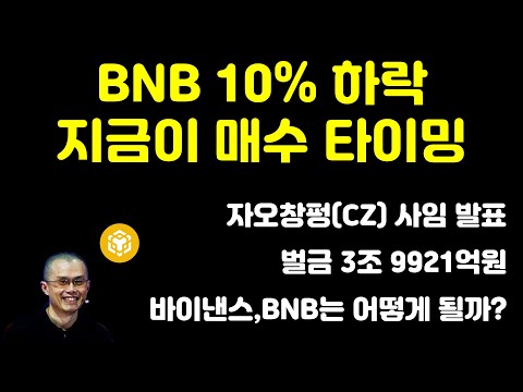   바이낸스 CEO 자오창펑 사임 소식과 BNB 가격 하락 그리고 합의금을 정리 합니다