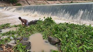 Cleaning up floating plants clogging area below the dam
