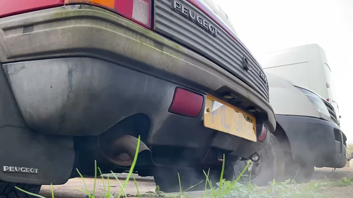 Peugeot 205 - Smokey Cold Start & Warm-Up