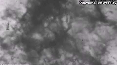 High-Speed Video Camera HPV-X2 – "2 mm from the nozzle"